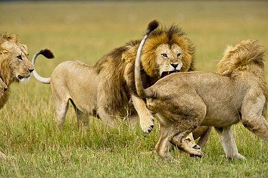 《最终幻想》系列能做成FPS吗？吉田直树表示不无可能